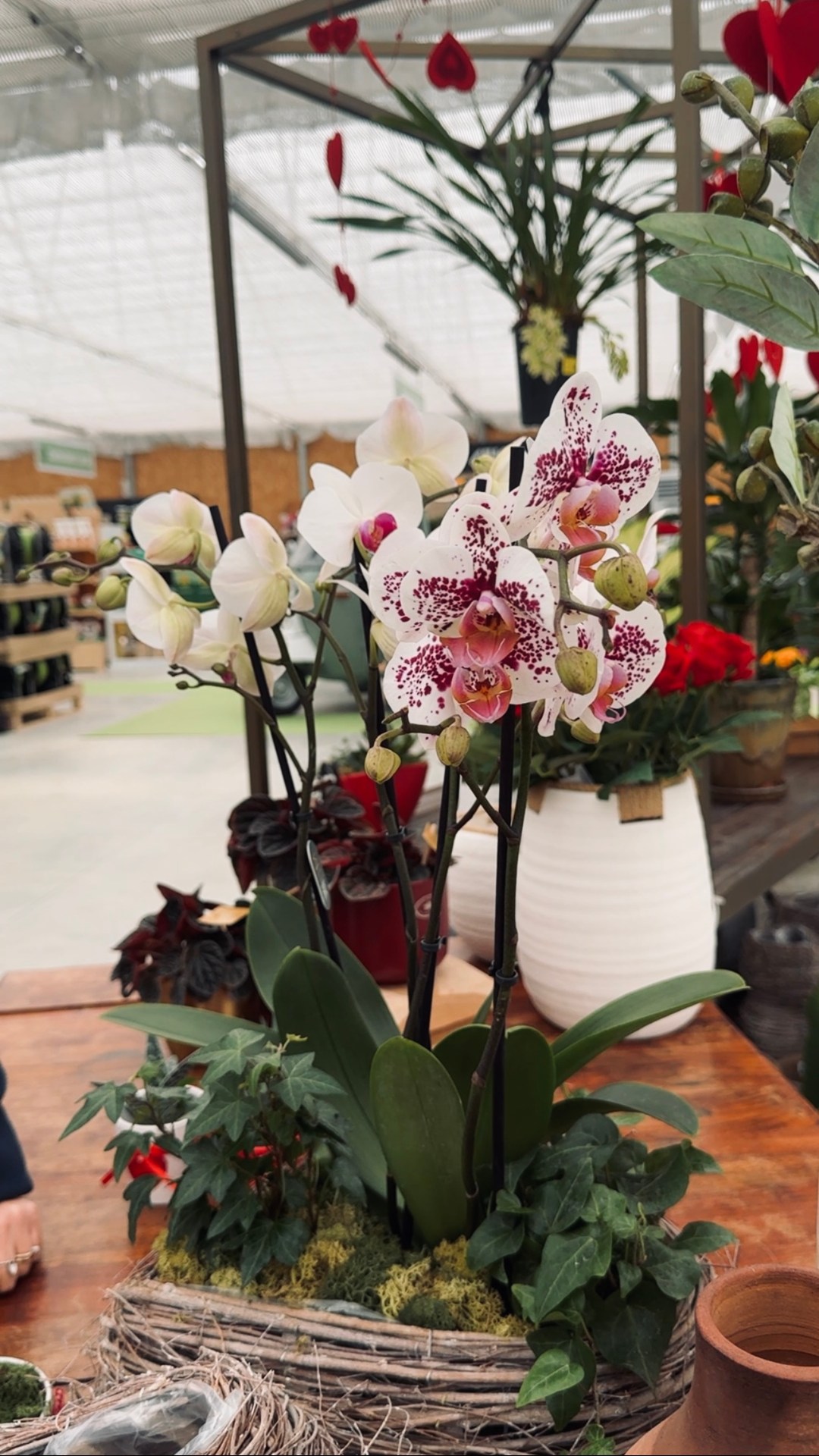 Giannini Home&Garden