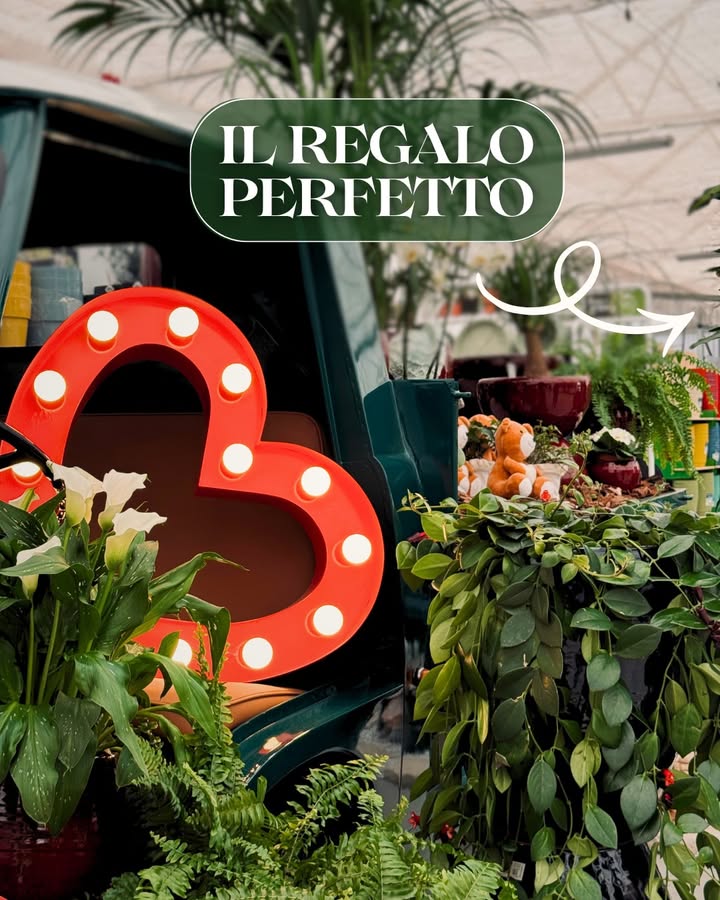 Giannini Home&Garden