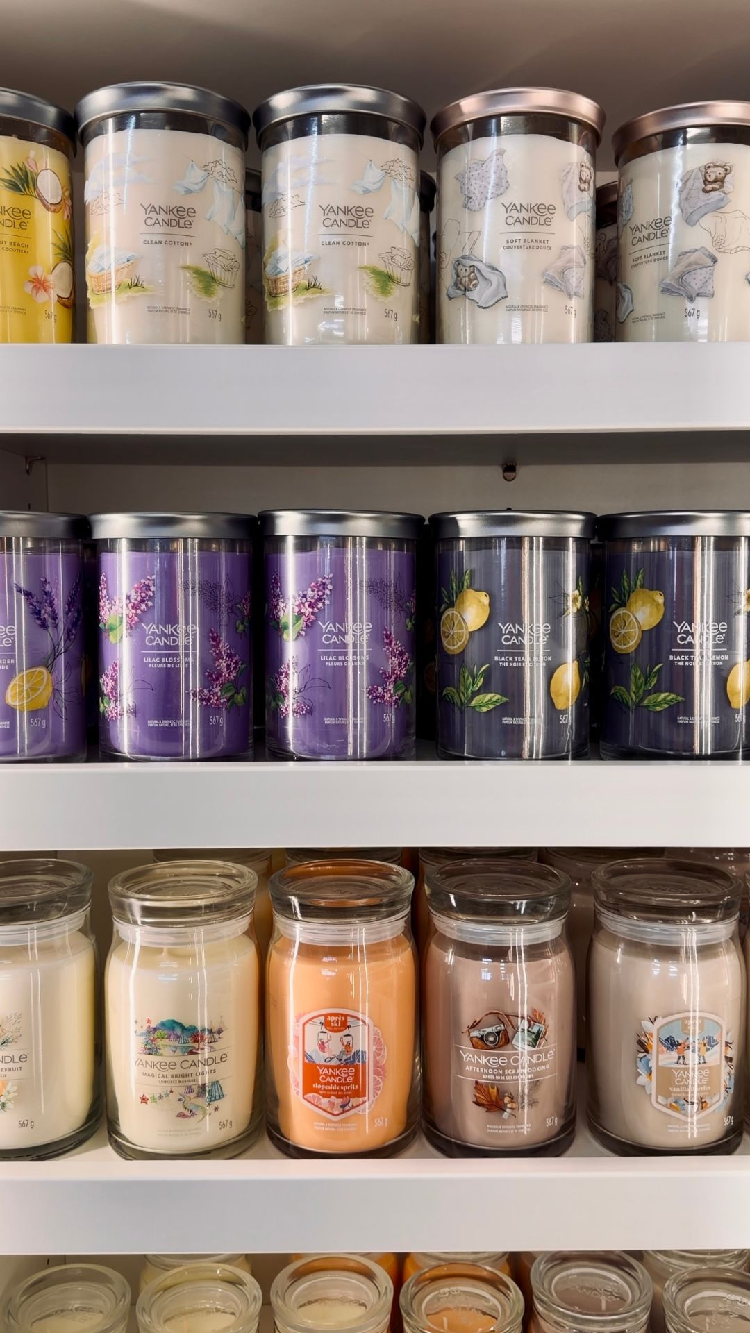 Giannini Home&Garden