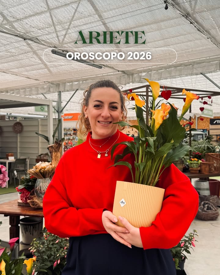 Giannini Home&Garden