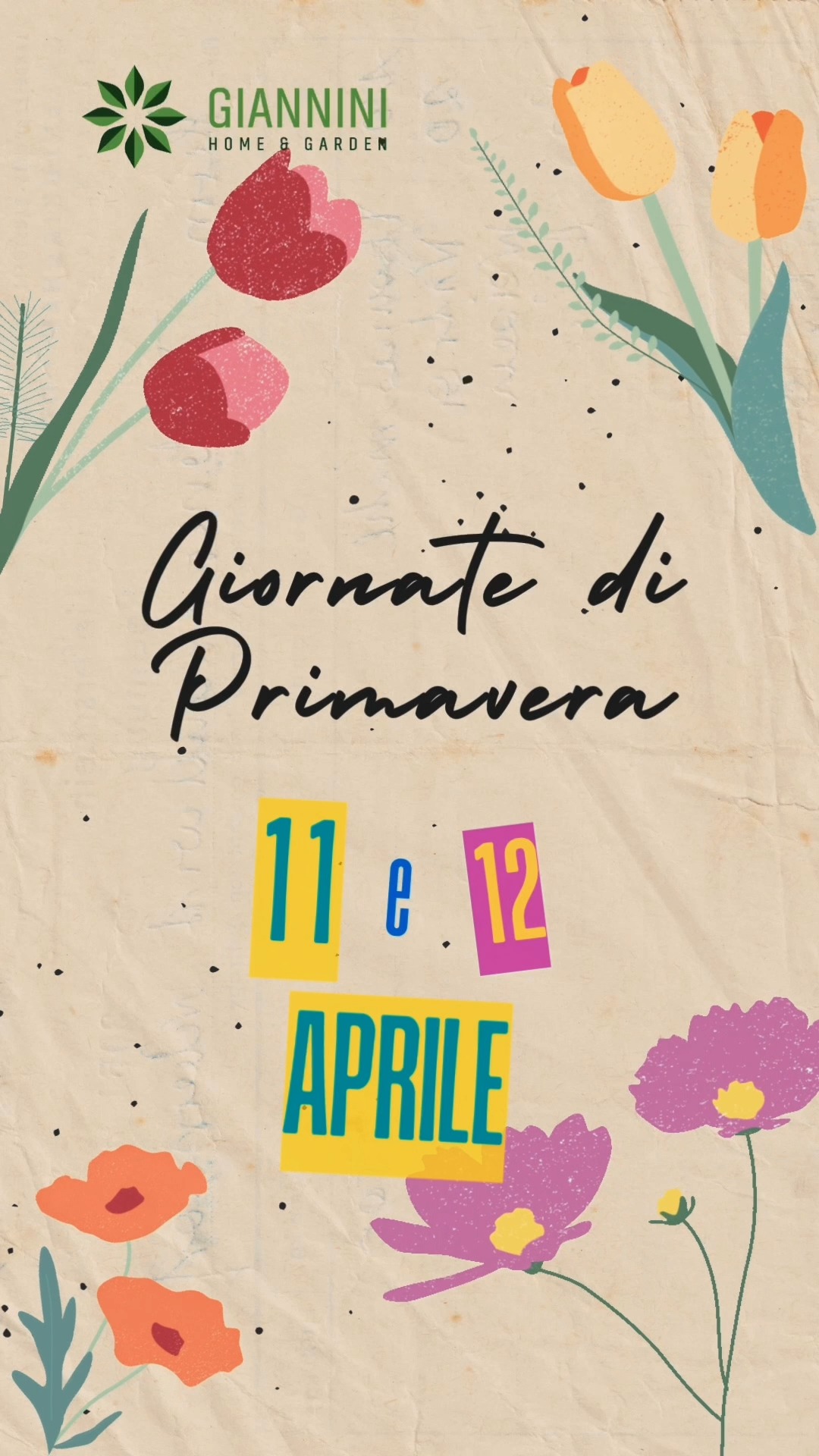 Giannini Home&Garden