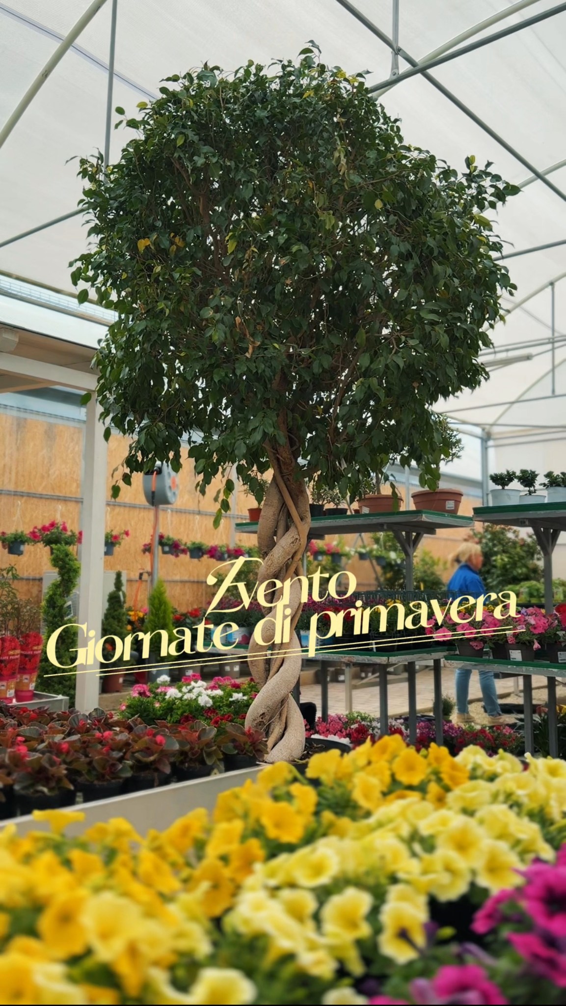 Giannini Home&Garden