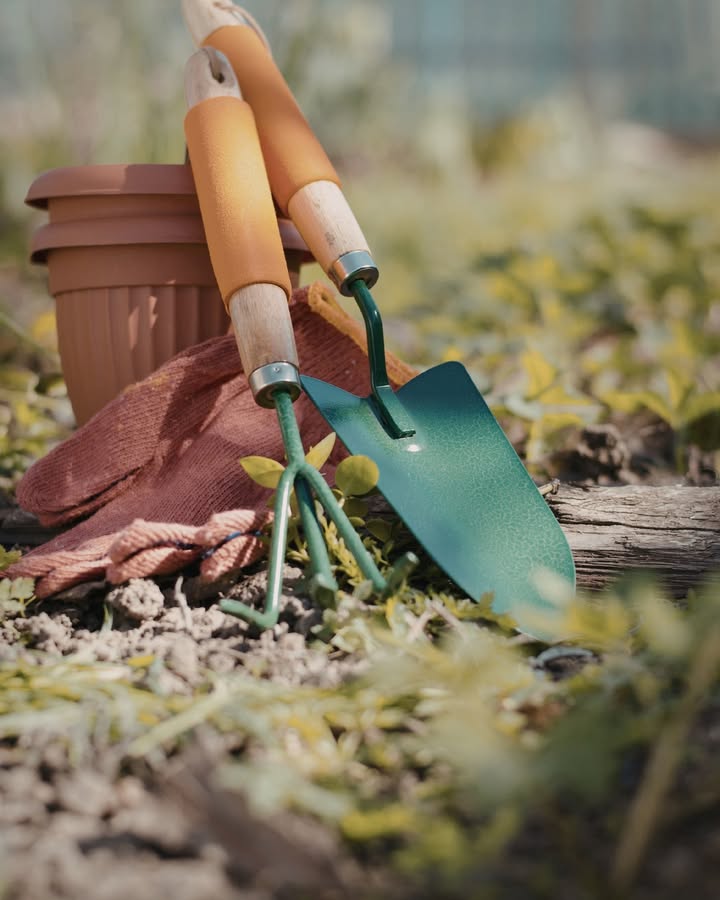 Giannini Home&Garden