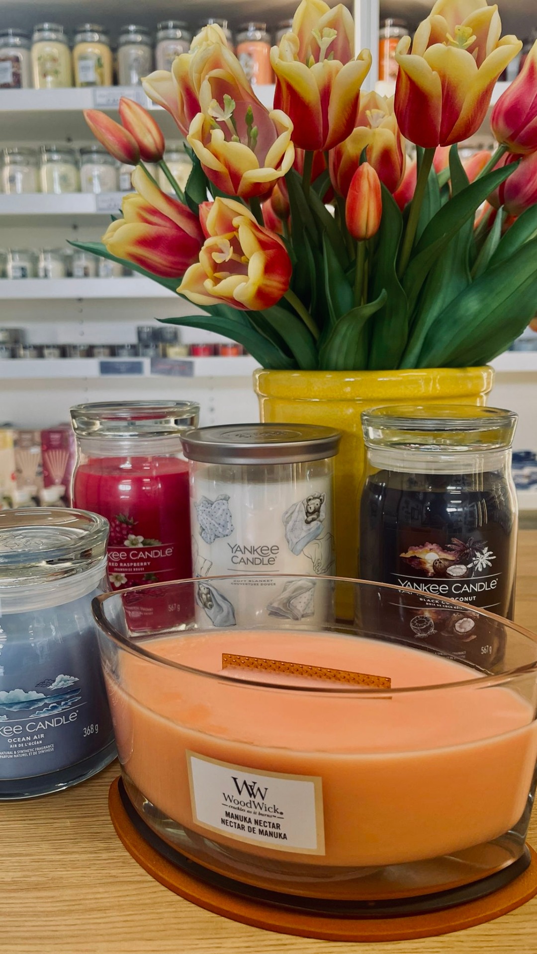 Giannini Home&Garden