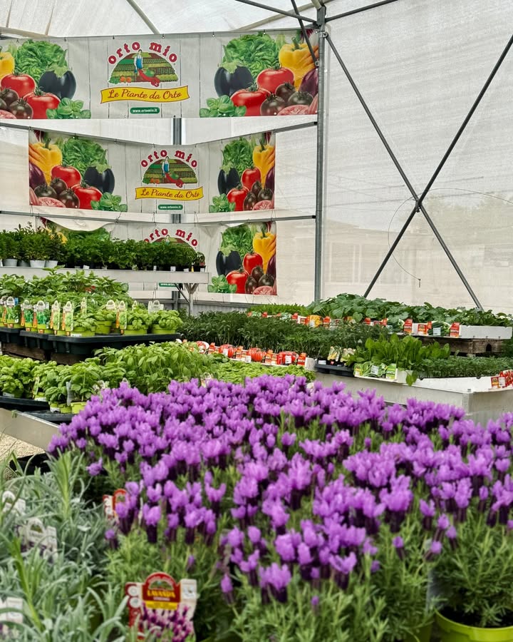 Giannini Home&Garden