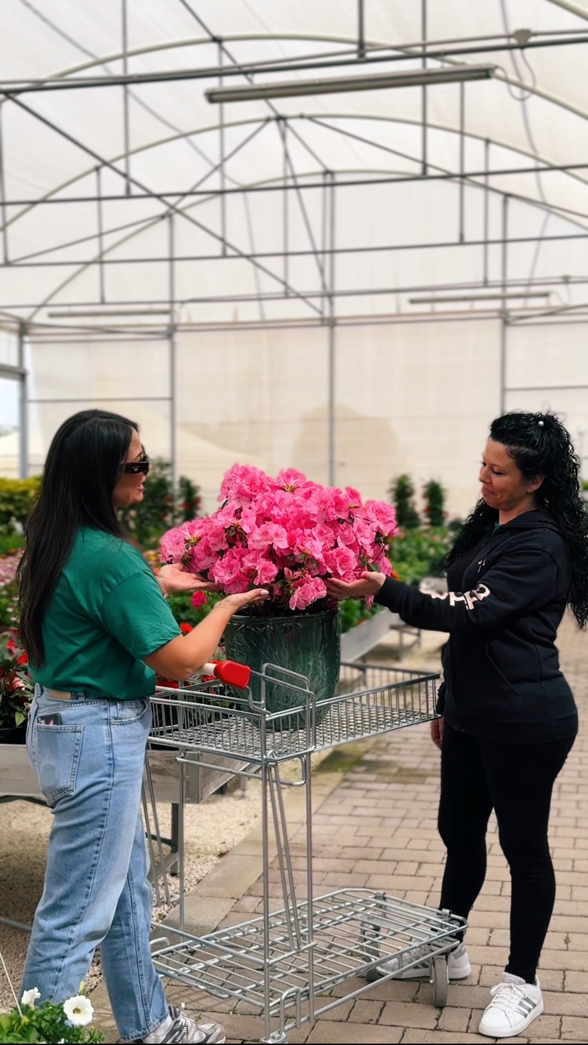 Giannini Home&Garden