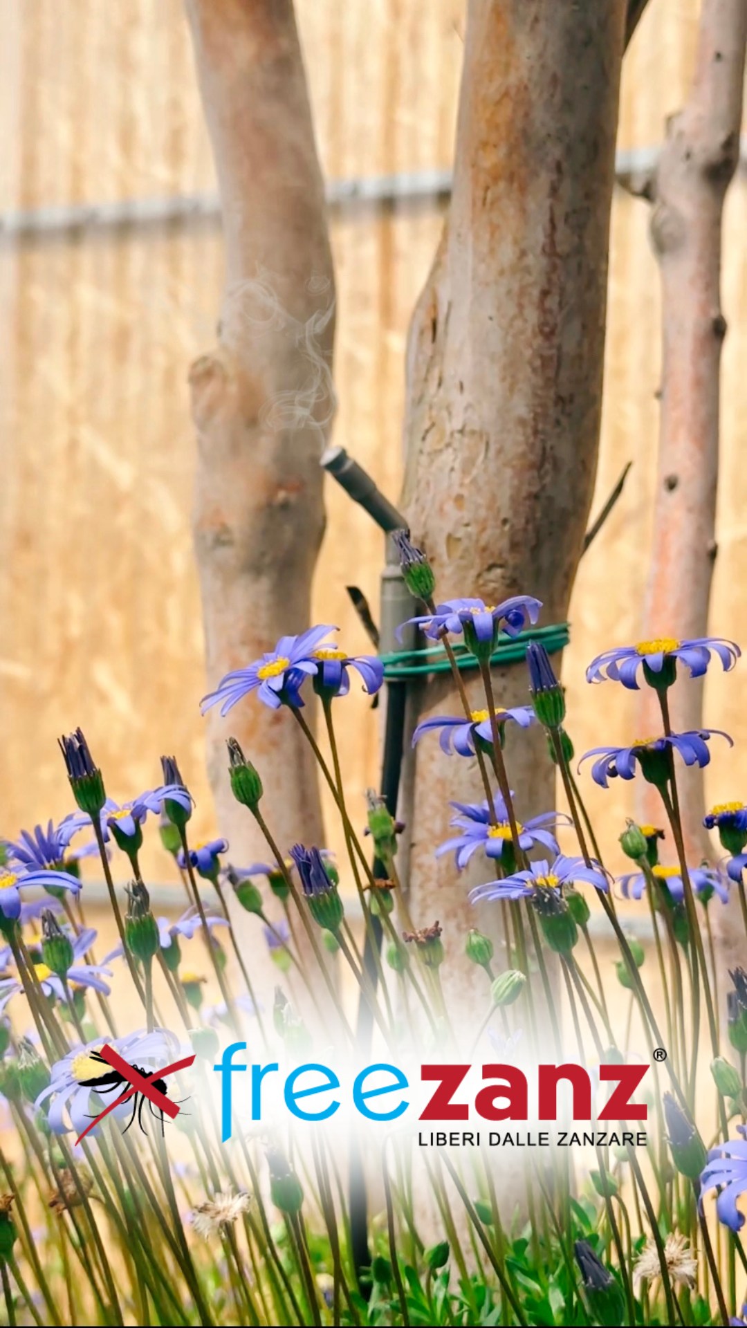 Giannini Home&Garden