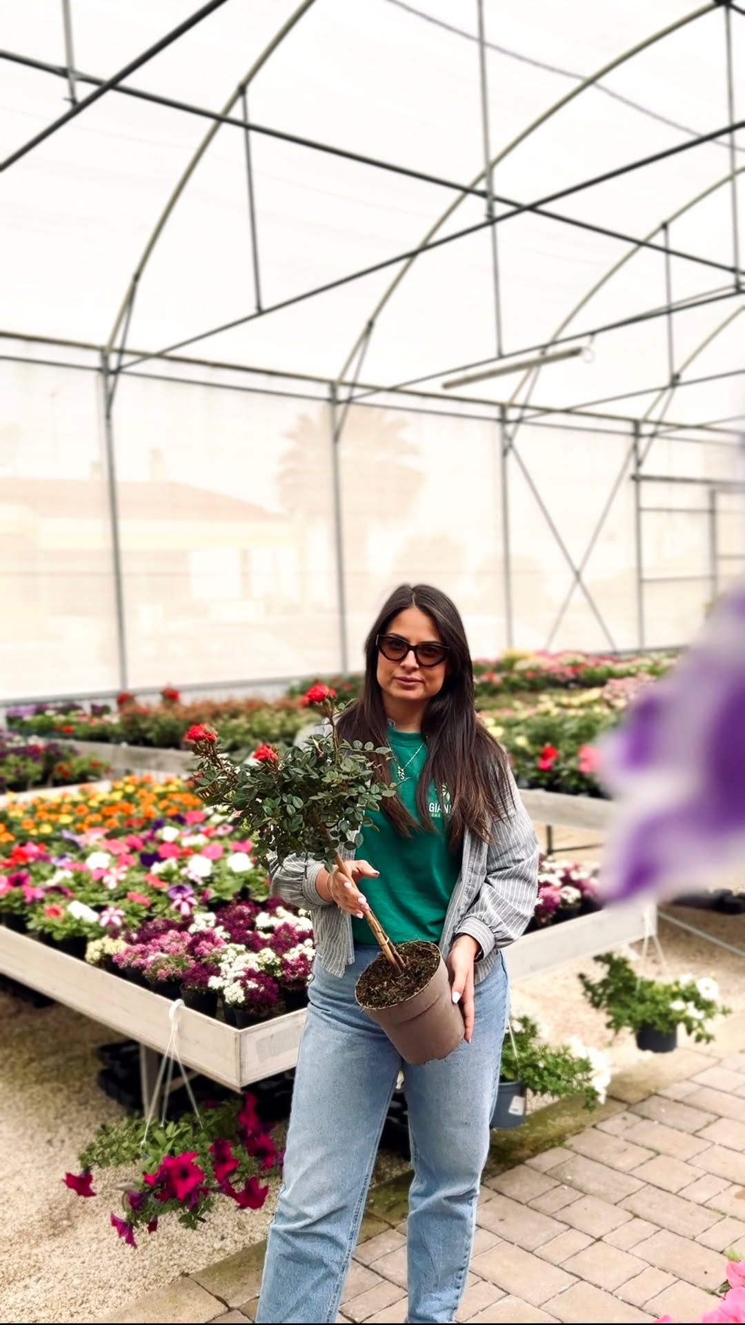 Giannini Home&Garden