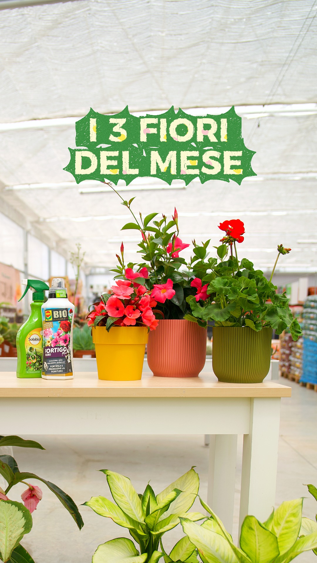 Giannini Home&Garden