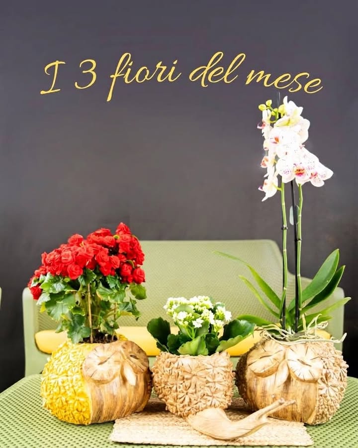 Giannini Home&Garden