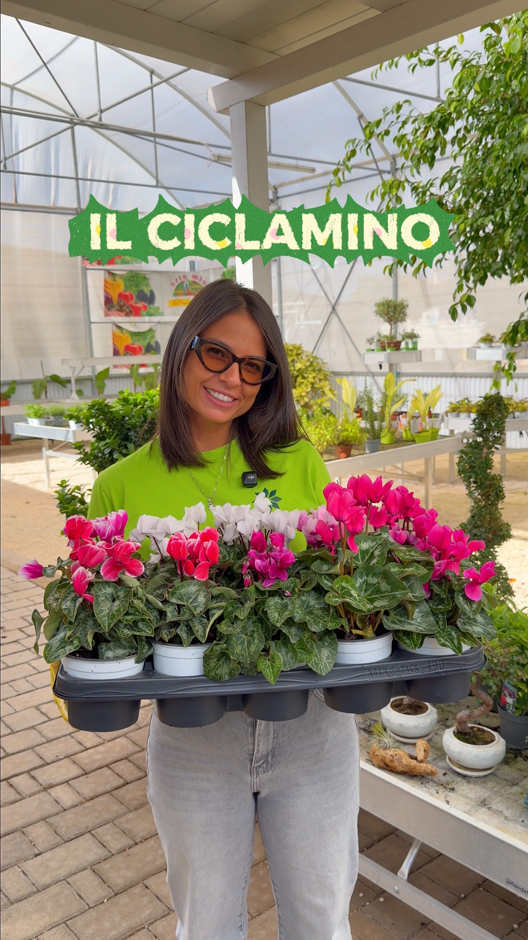 Giannini Home&Garden