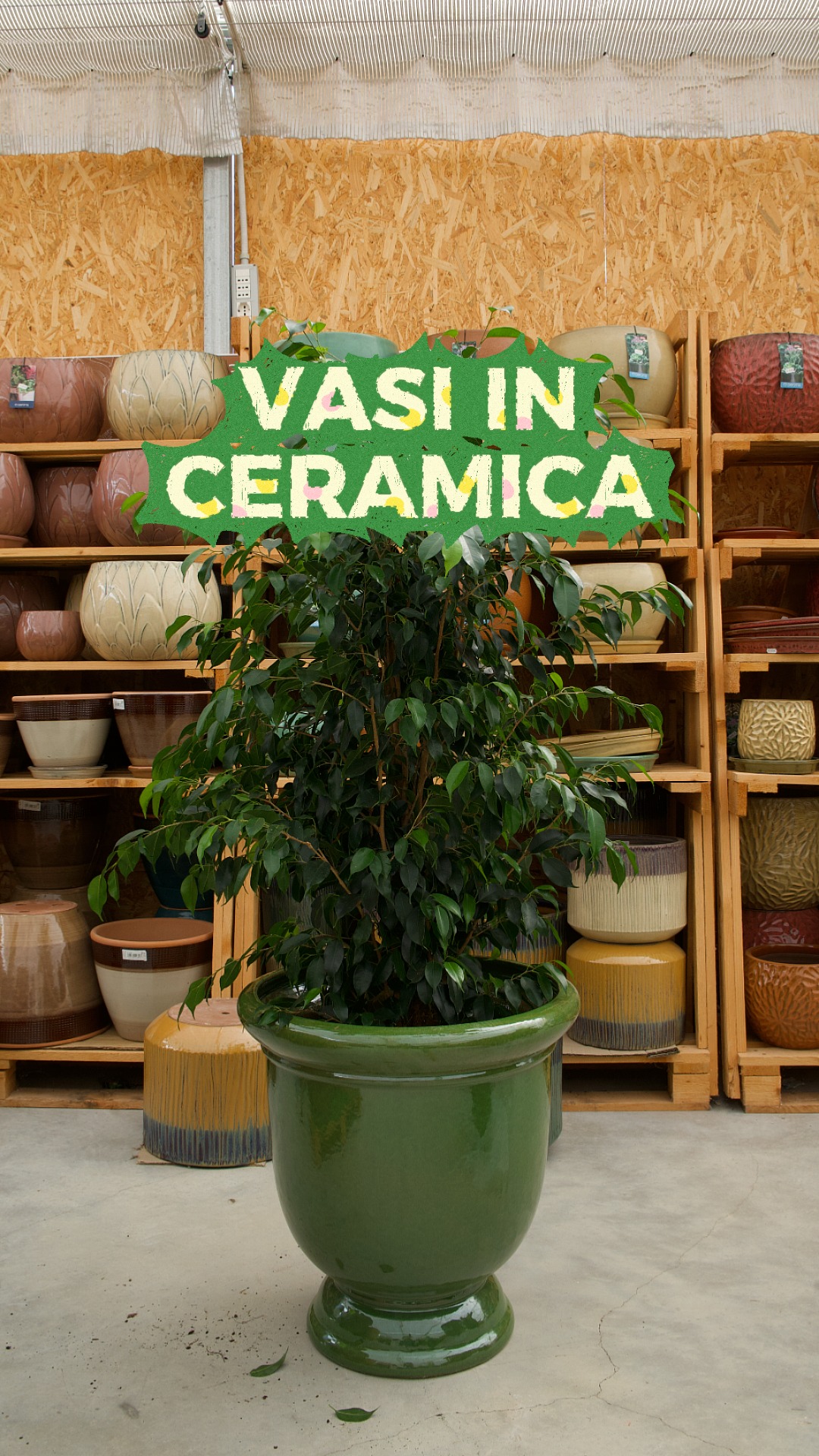 Giannini Home&Garden